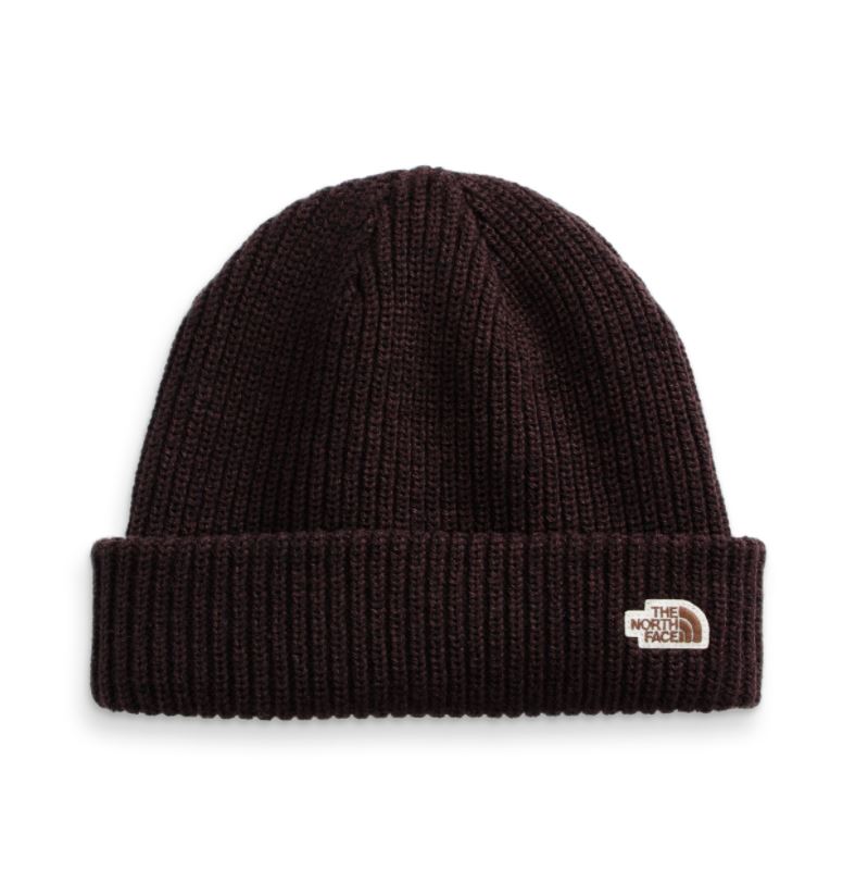 The North Face Mens Salty Dog Beanie