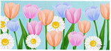 Evergreen Sassafras Spring Summer Holidays Interchangeable Doormats - Set of 5