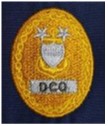 Vanguard CG BDG Gold/Blue Sew On SR EM Advisor E-9 DCO