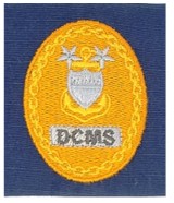 Vanguard CG BDG Gold/Blue Sew On SR EM Advisor E-9 DCMS