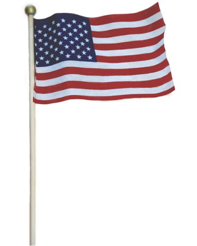 Valley Forge United States Cotton Stick Flag - 4" x 6"