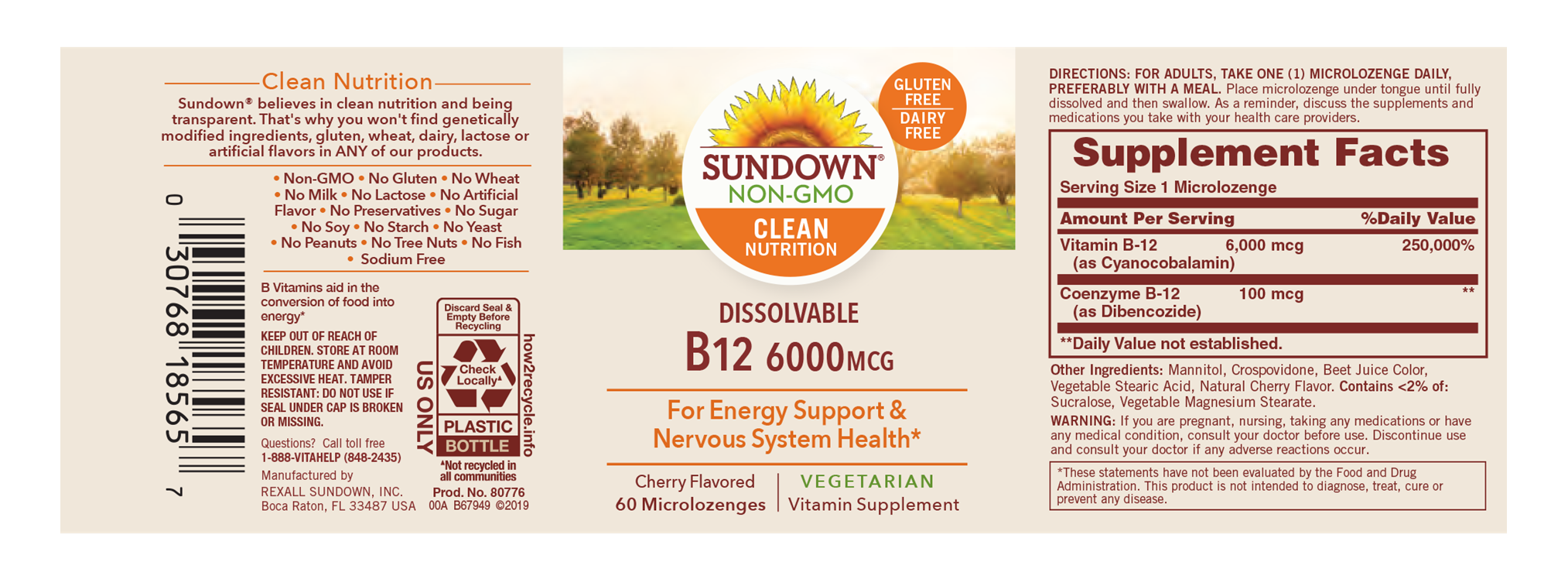 Sundown Naturals Vitamin B12 Sublingual Vitamin Supplement Microlozenges - 6000mcg - 60 Count