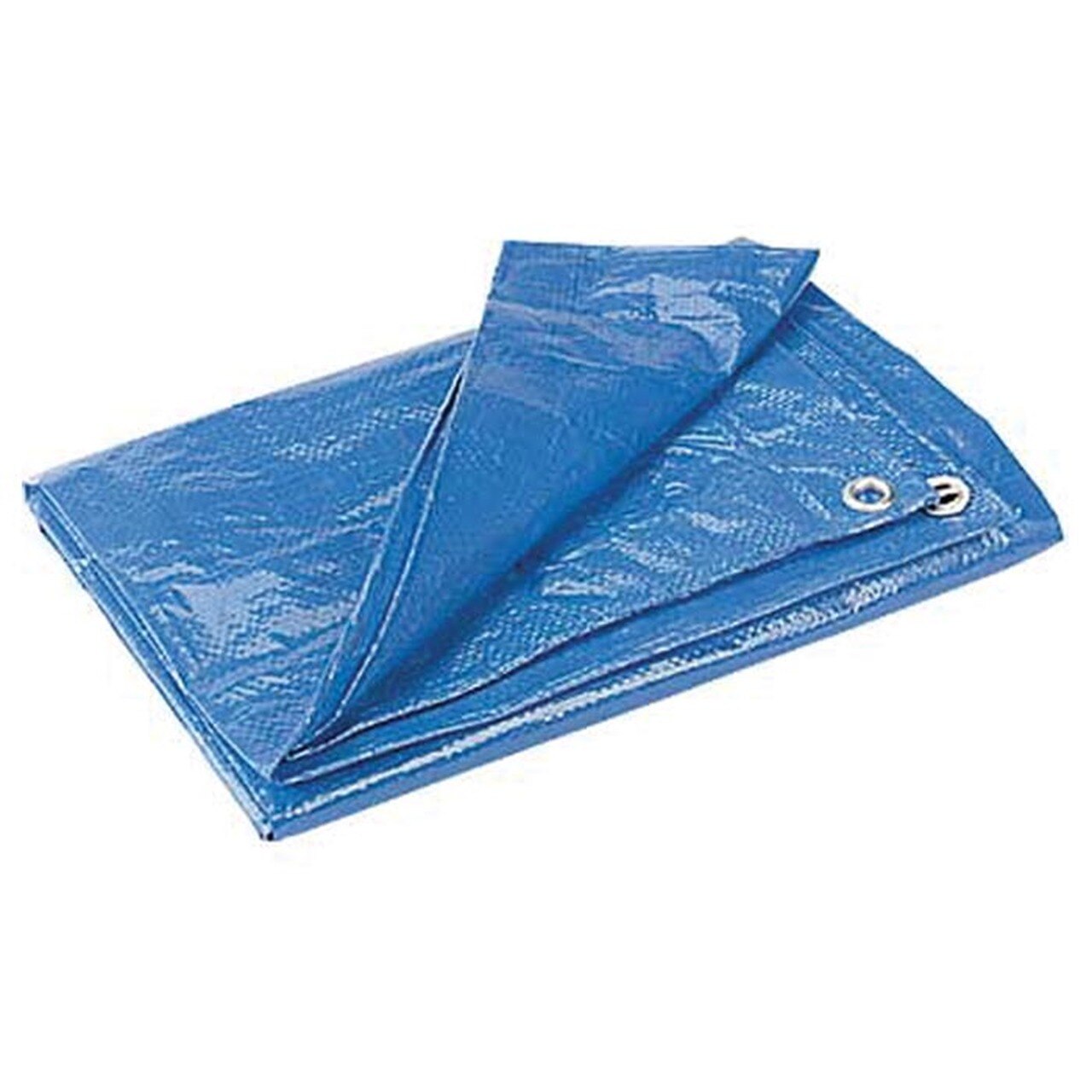 Blue Poly Tarp